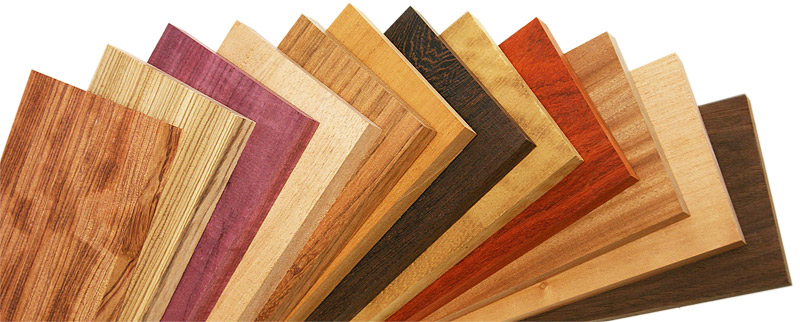 Discover Unique Timber: Top 12 Exotic Woods for Crafty Woodworking!