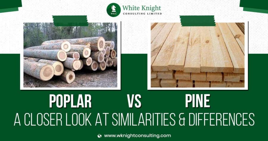 Poplar vs. Pine: The Surprising Truth About Wood Weight